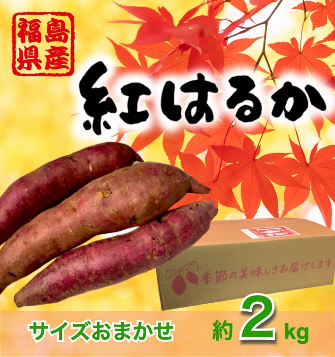 千葉県産紅はるか2L 10kg1.2