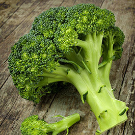 Organic Broccoli Seeds