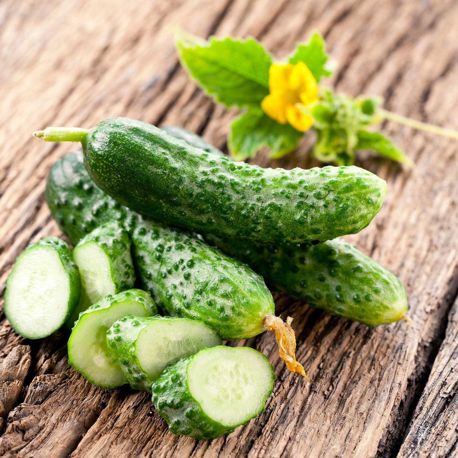 Cucumber Seeds