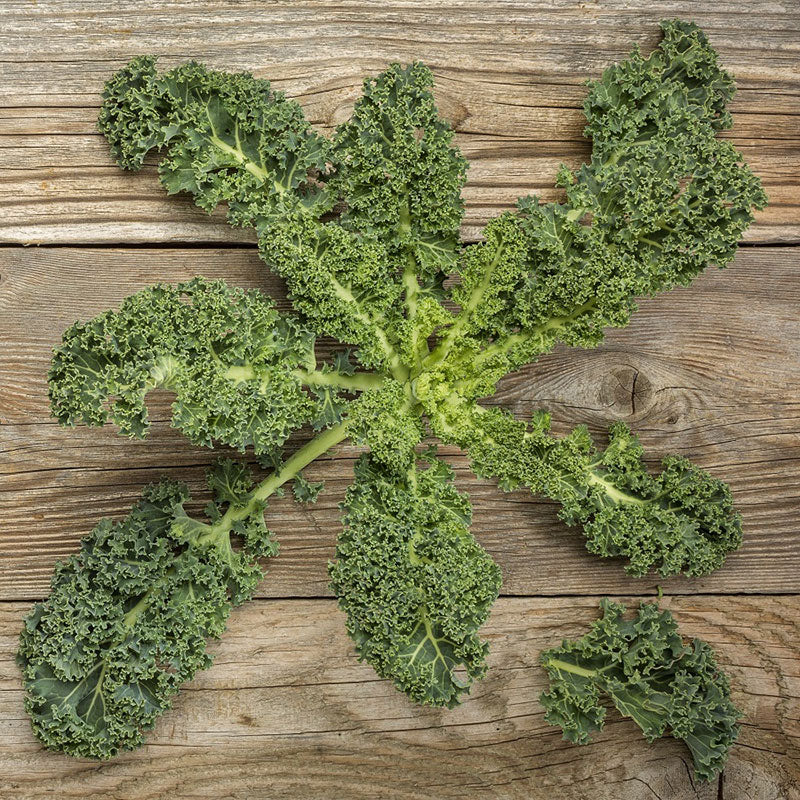 Kale Seeds (Heirloom)