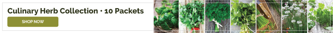 products culinary herb seeds collection banner