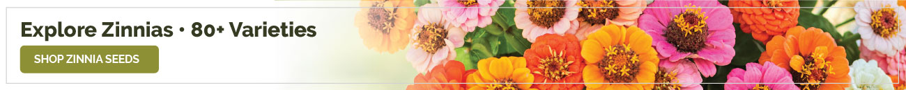 collections zinnia seeds banner
