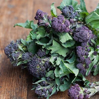 broccoli flower bloom