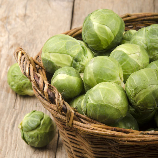 Catskill Brussels Sprouts