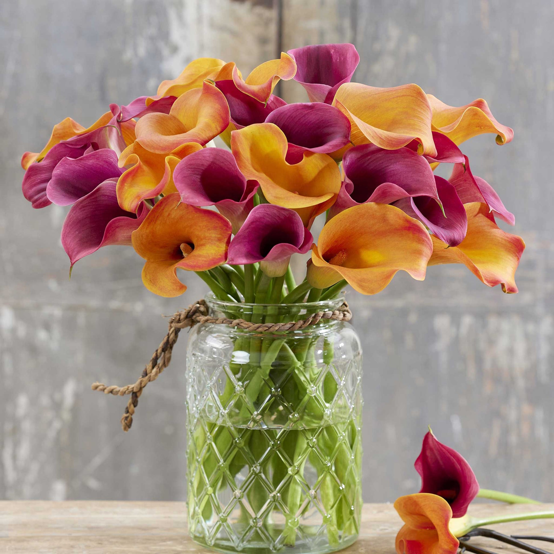 calla lily passion mix