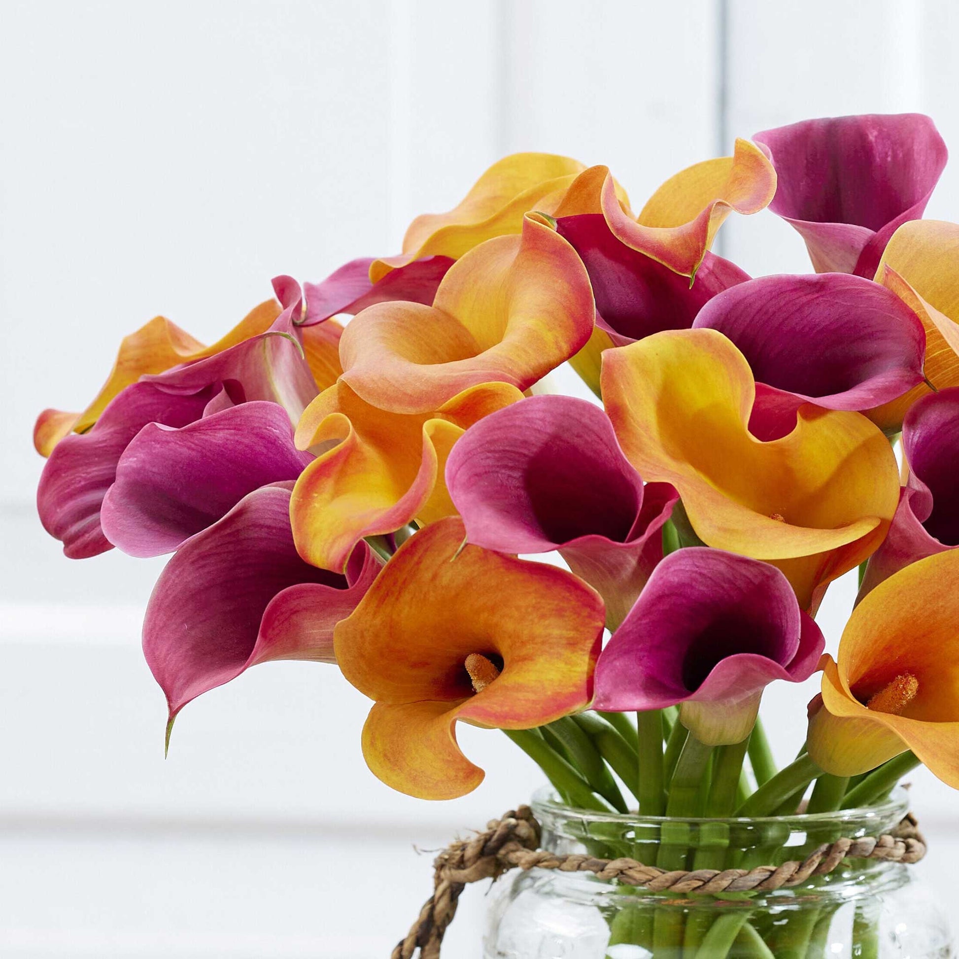 calla lily passion mix