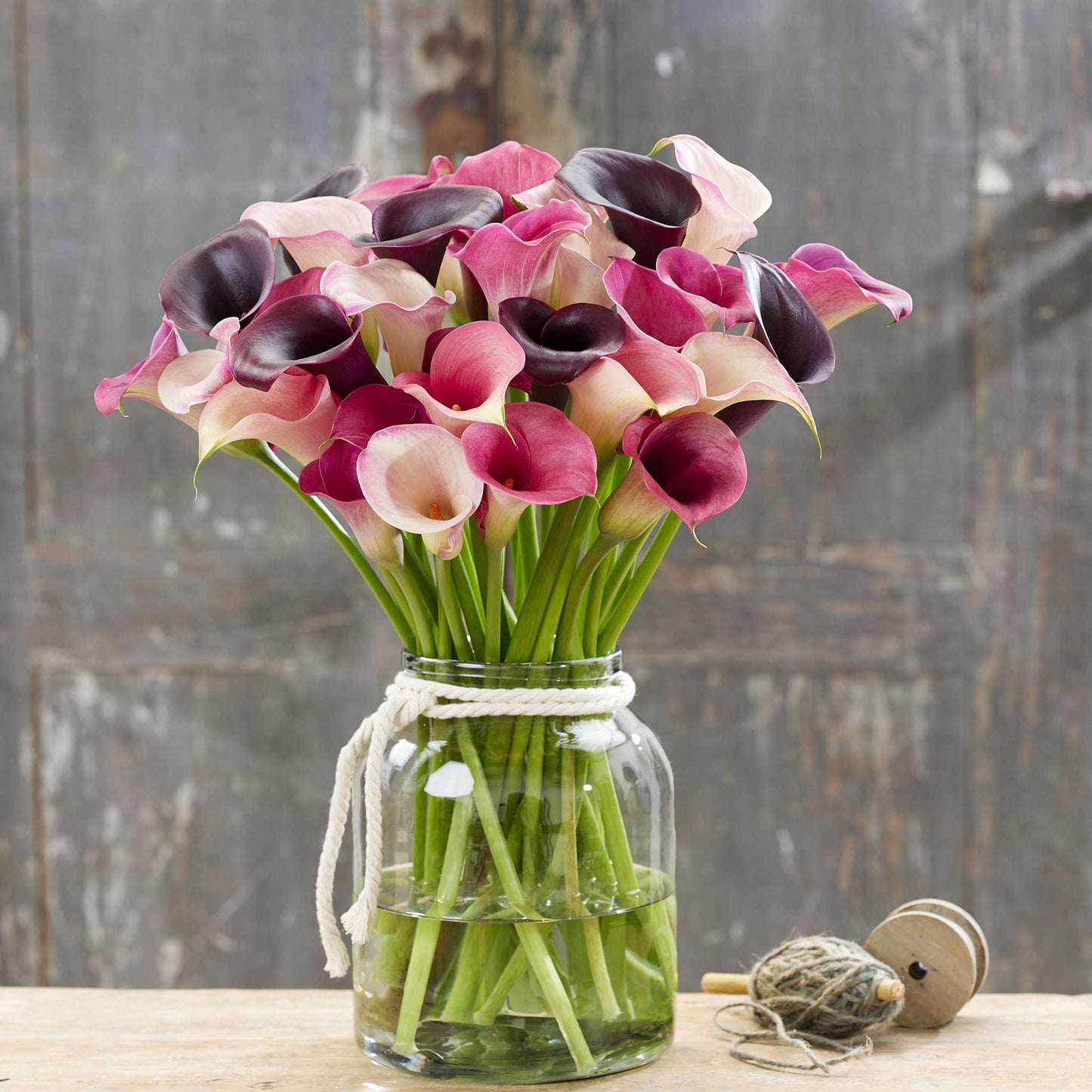 calla lily pastel mix