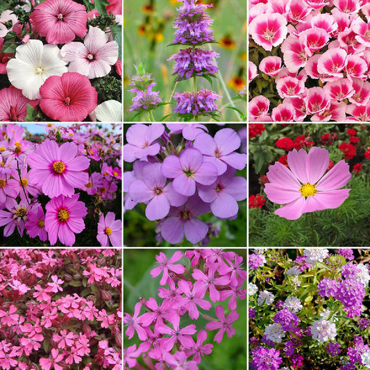 pink flower seed mix