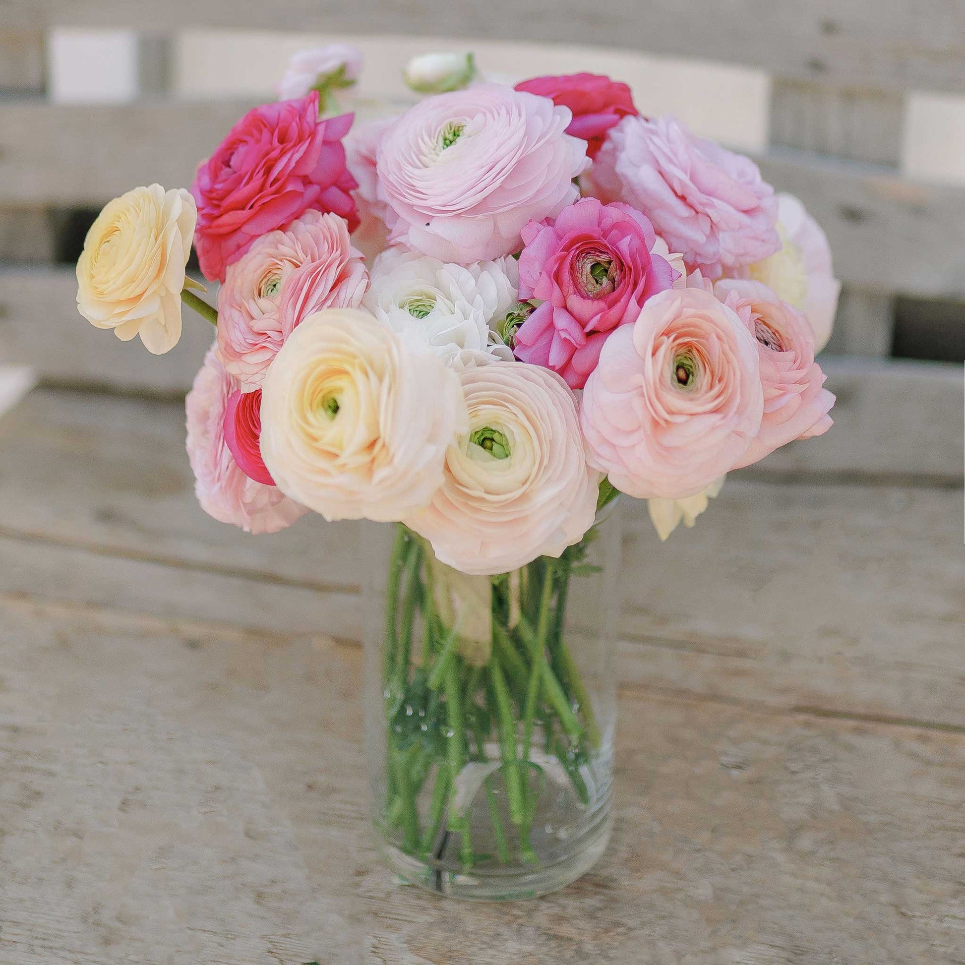 ranunculus bridal mix