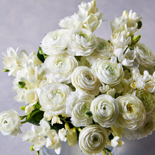 ranunculus freesia white mix