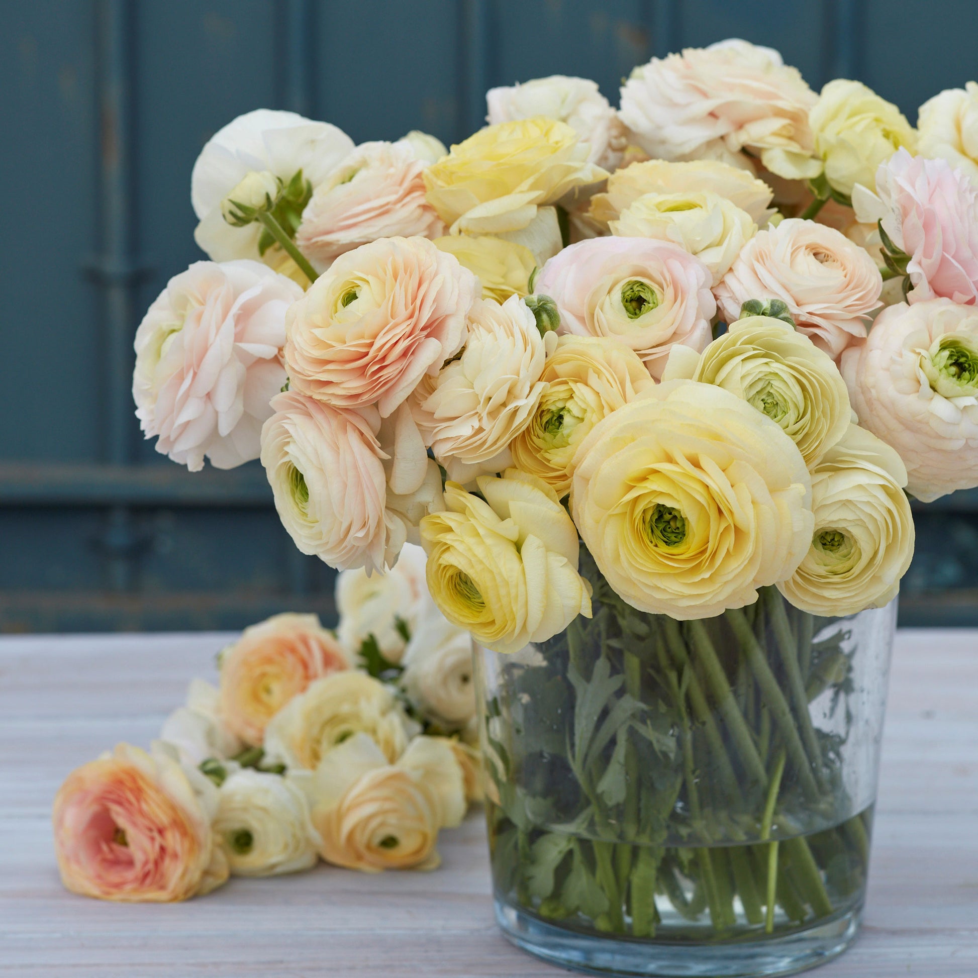 ranunculus wedding pastel