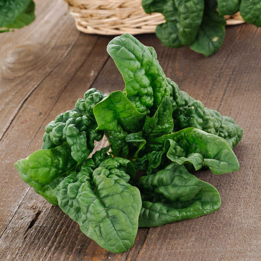 spinach noble giant