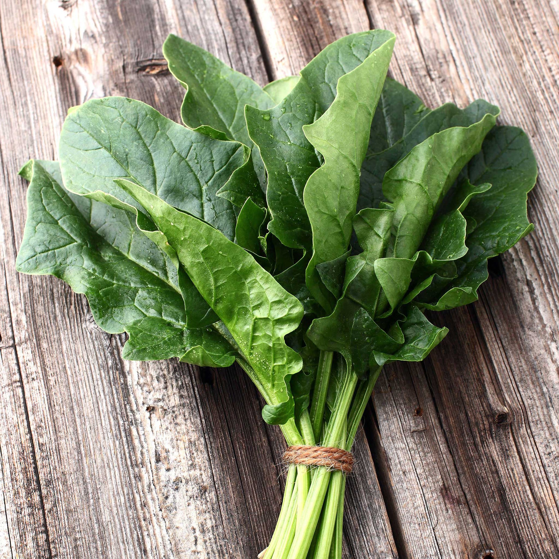 organic bloomsdale spinach 