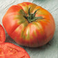 organic tomato brandywine