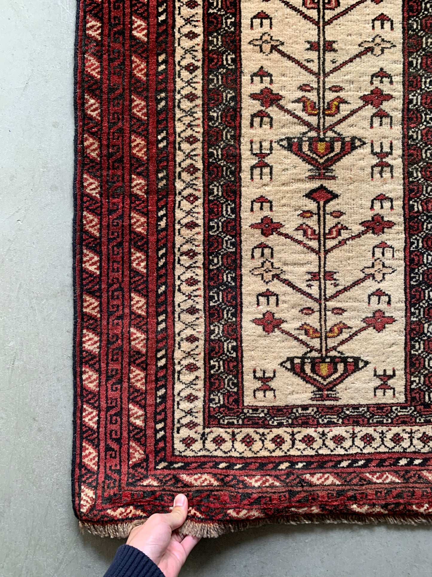 Afghanistan Torkaman 1980 109×68.5cm