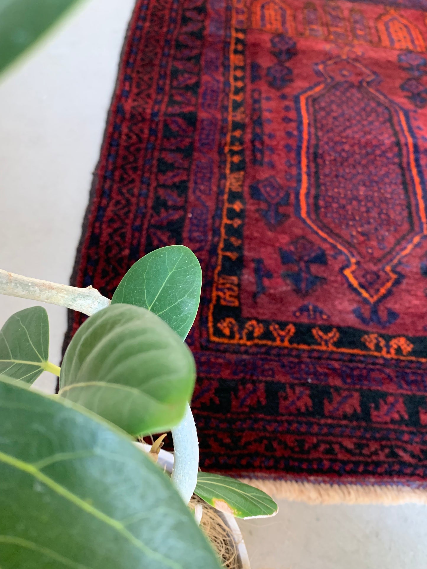Afghanistan Belouch Purple 1960 110×84cm
