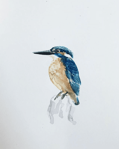 Illustration of a kingfisher, watercolor hand painted in Berlin, Denise Kunstzimmer