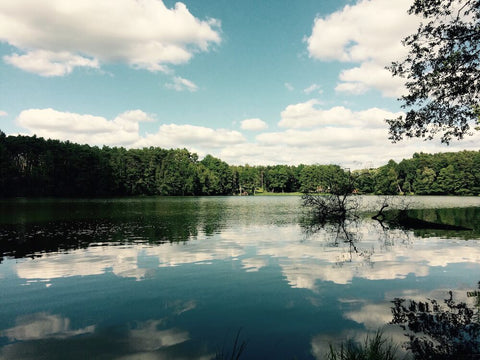 Excursions into nature, Brandenburg, visions HETTI. 2018