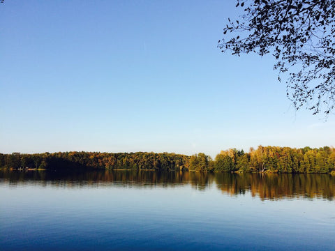 Lake and forest in Brandenburg as a source of inspiration for new cushions from HETTI.