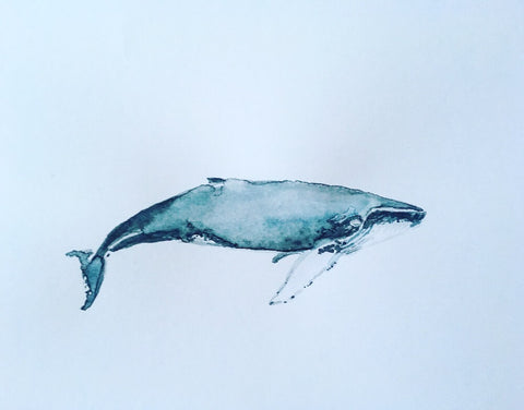 Whale, art room illustrations as postcards to buy from HETTI. at Reuterstrasse 62 in Berlin-Neukölln