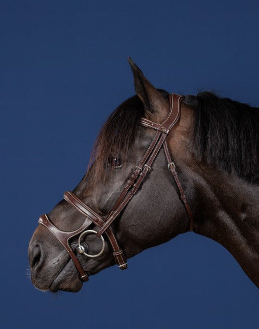 Dyon US Jumping Double Noseband Bridle Brown