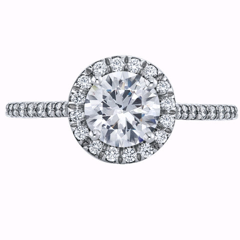 white gold engagement ring with a diamond halo and diamonds down the shank.