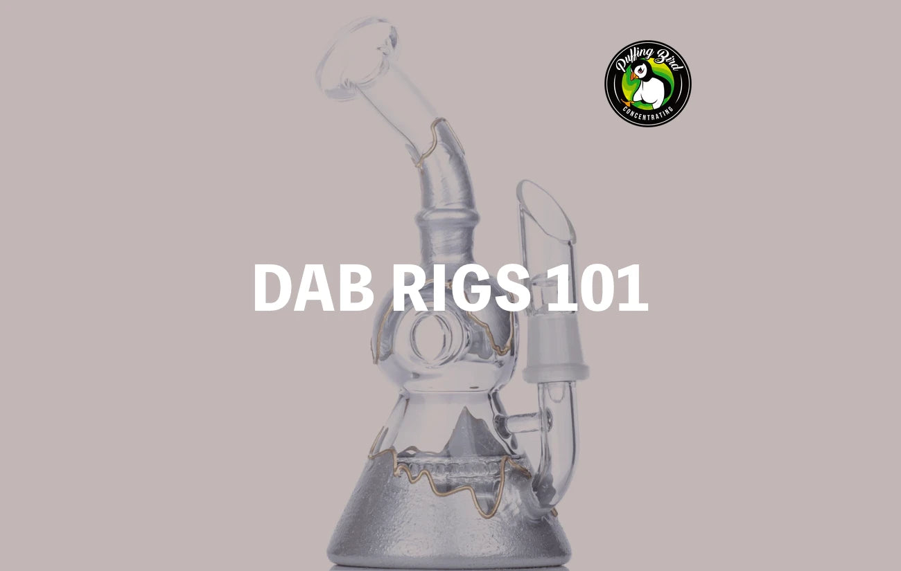 Dab Rigs 101 Everything You Need To Know About Dabbing Puffing Bird