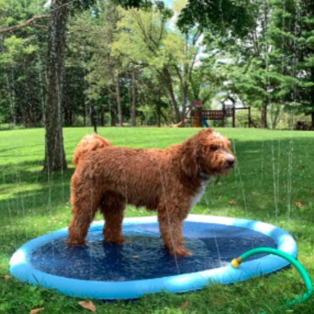 (šFather's Day Gift-49% OFF) š„Dog Splash Sprinkler Pad
