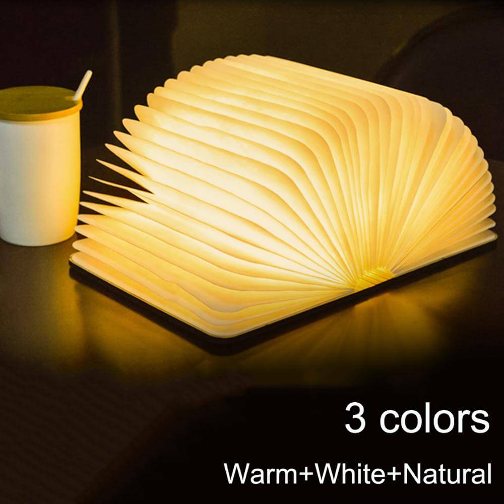 LED book night light