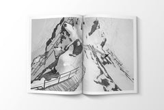 ALPINE MODERN #2 - SÉRENDIPITÉ
