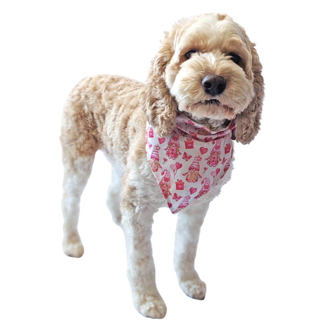 aan de andere kant, ondersteboven Maladroit Valentine's Day Gnomes Dog Bandana - Slip On – Cheffy and Co