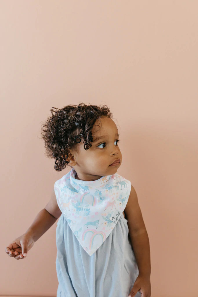 Whimsy Baby Bandana Bib