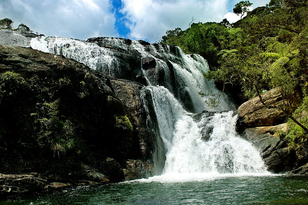 A waterfall in the tropical rainforest in Sri Lanka