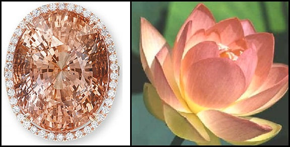 Padparadscha: A Marriage of Sunsets & Lotus Flowers – Elizabeth 