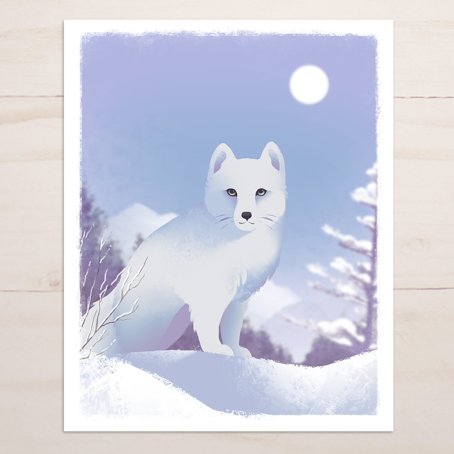 Arctic Fox Print – The Snow Finch