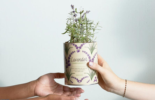 Waxed planter with bright green and purple lavender sprouting out of the top being handed from one hand to another 