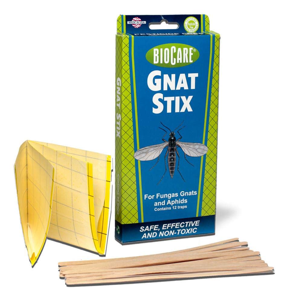 http://cdn.shopify.com/s/files/1/0626/1509/3416/products/Bug_Stix_Indoor_Insect_Trap__45074.jpg?v=1663052256