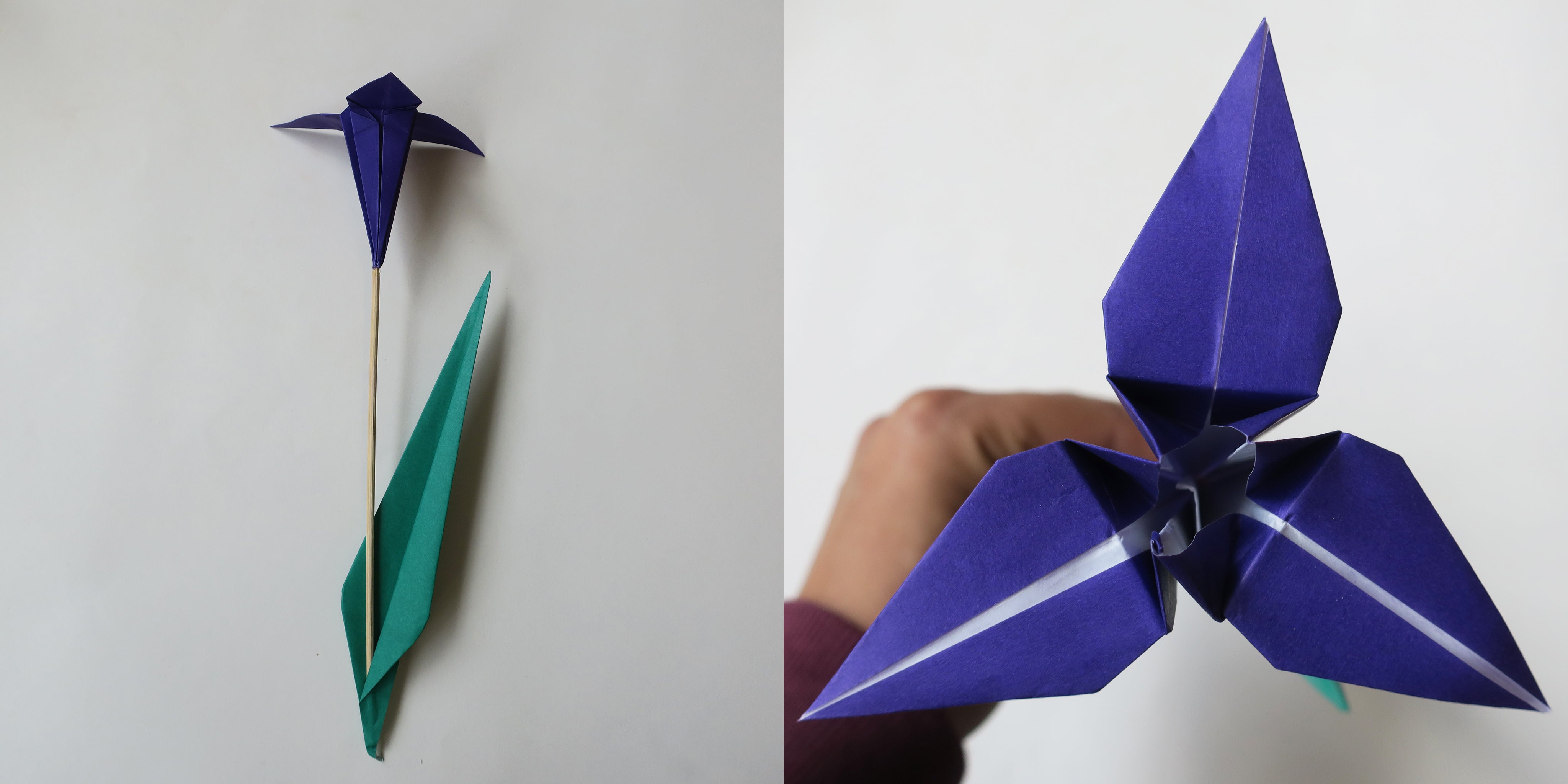 Flower Origami