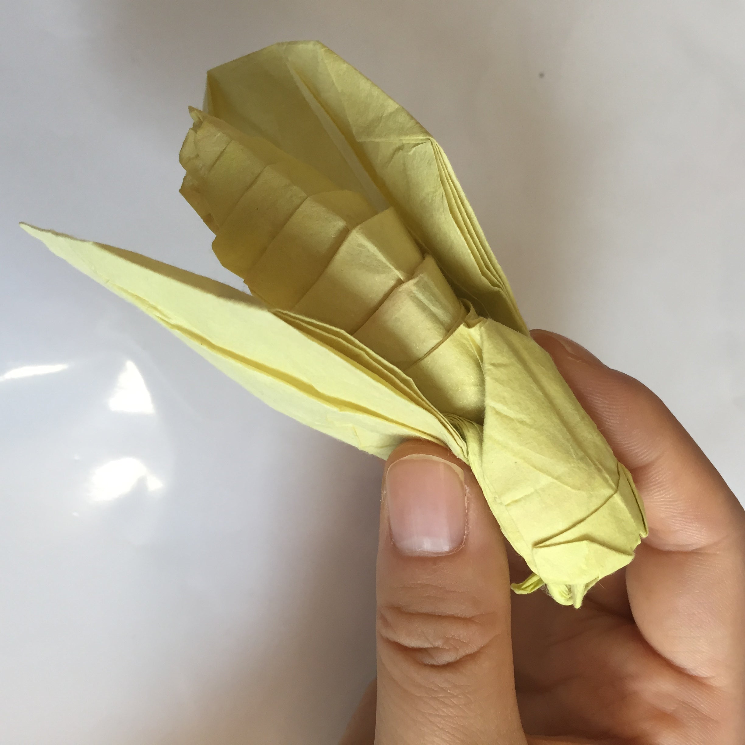 Origami Cicada Insect