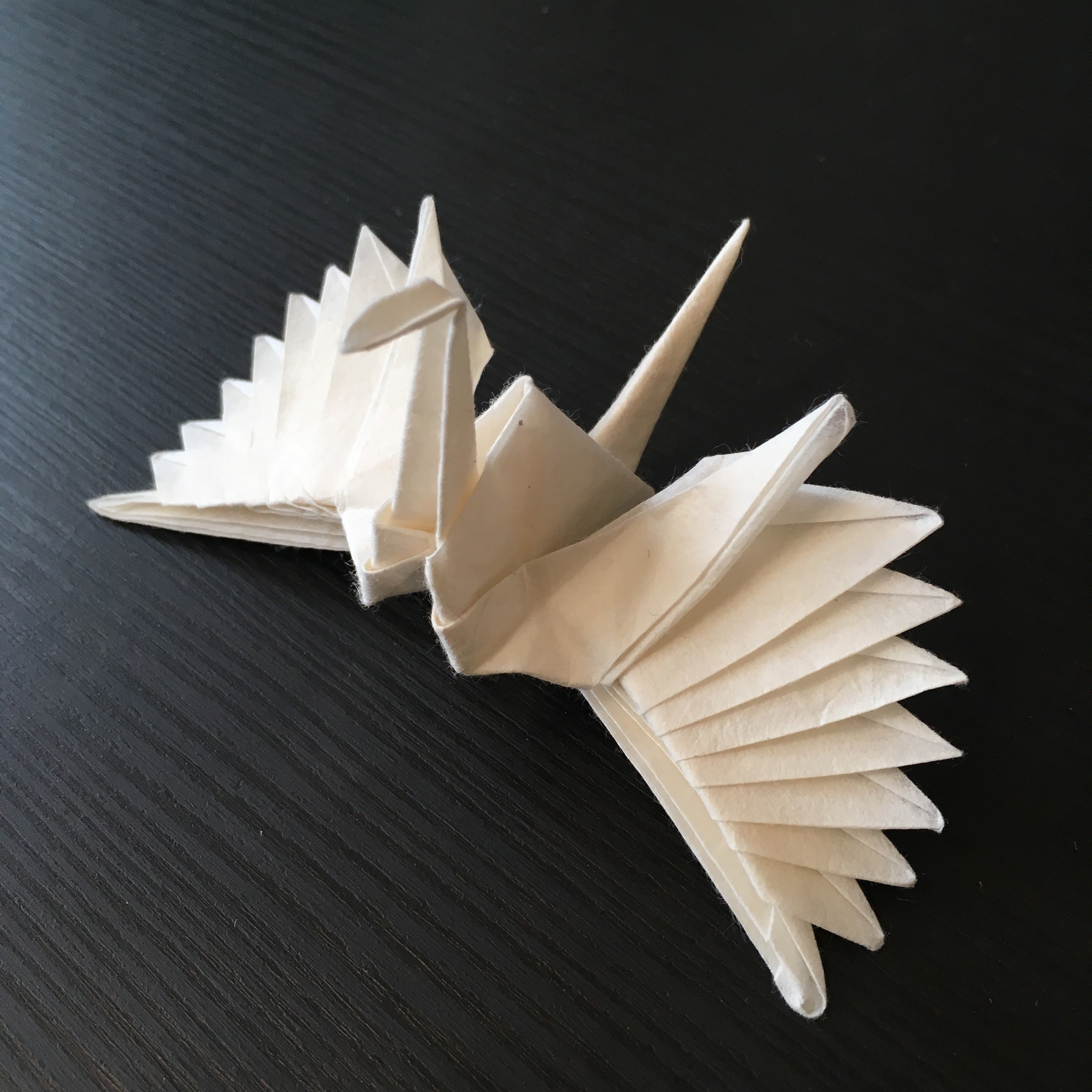 Origami Feathered Crane by Riccardo Foschi