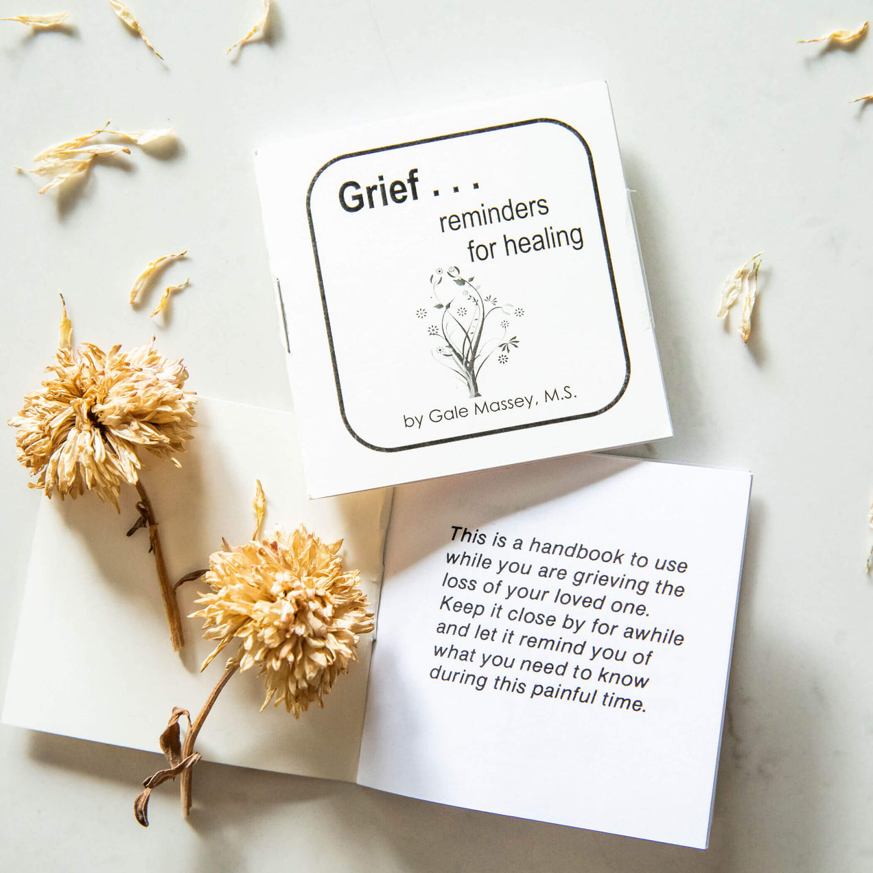 Grief... Reminders For Healing Book product image