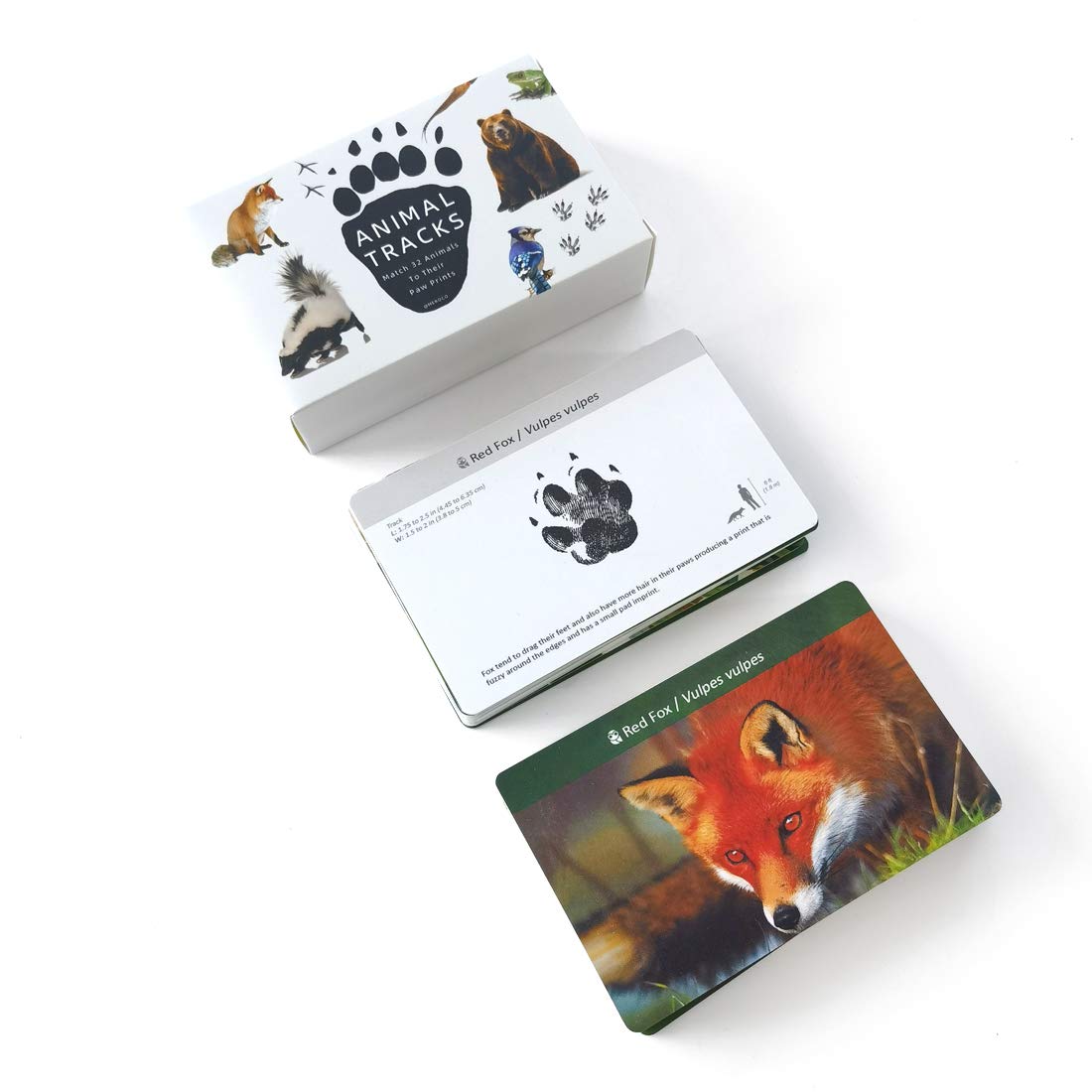 Montessori Forest Animal Track Game Flash Cards – MEROCO TOYS
