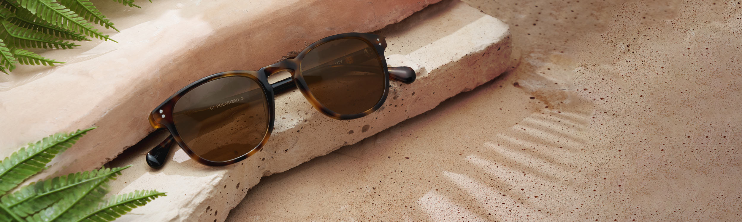 Cedar tortoise colored sunglasses resting on textured rock with leaves on corners