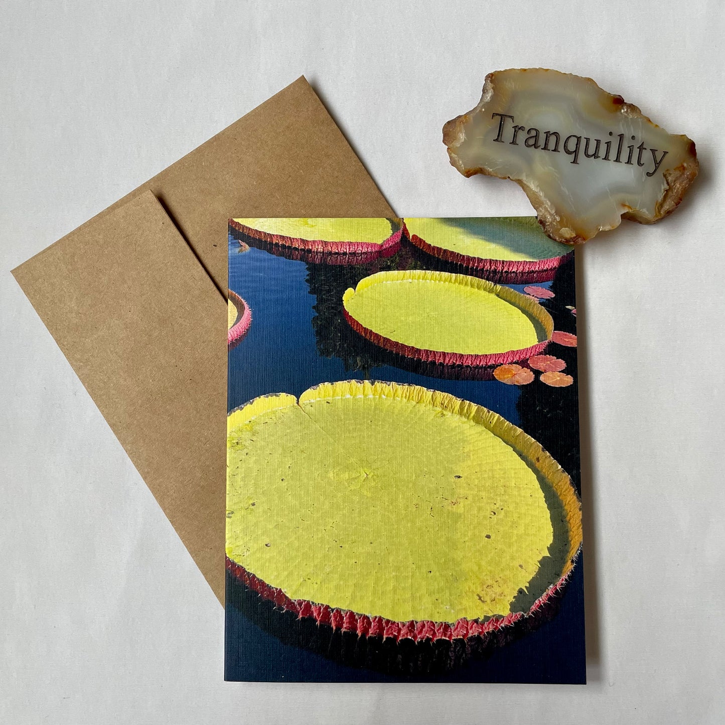 Spring Fling Collection - Assorted Flowers Original Nature Photography Greeting Card Boxed Set of 6 with Kraft Envelopes