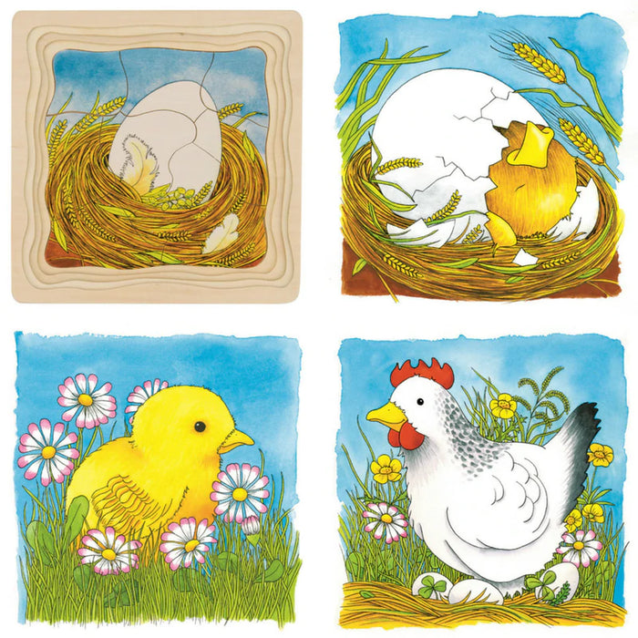 Goki Life Cycle of Chicken Layer Puzzle 3yrs+ - My Playroom