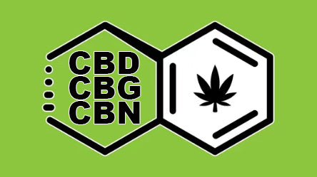 CBD/CBG/CBN Products – Port City Delta