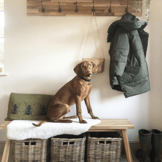 Creative Ways to Use Our Storage Solutions in Every Room