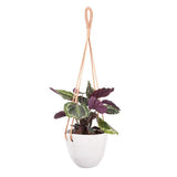 Braided Hanger