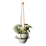 Ivy Muse Saturn Hanger