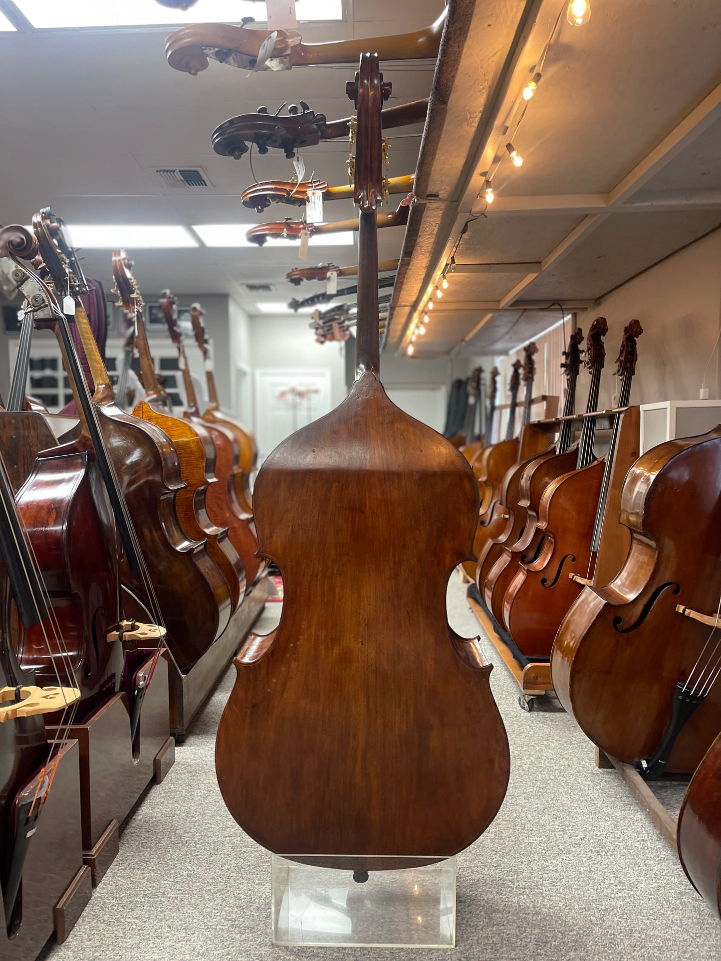 Kolstein Elite Fendt Model Bass